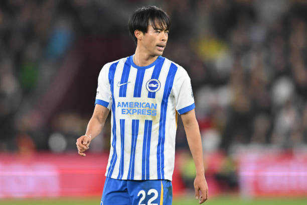 回归执教以 回归执教以